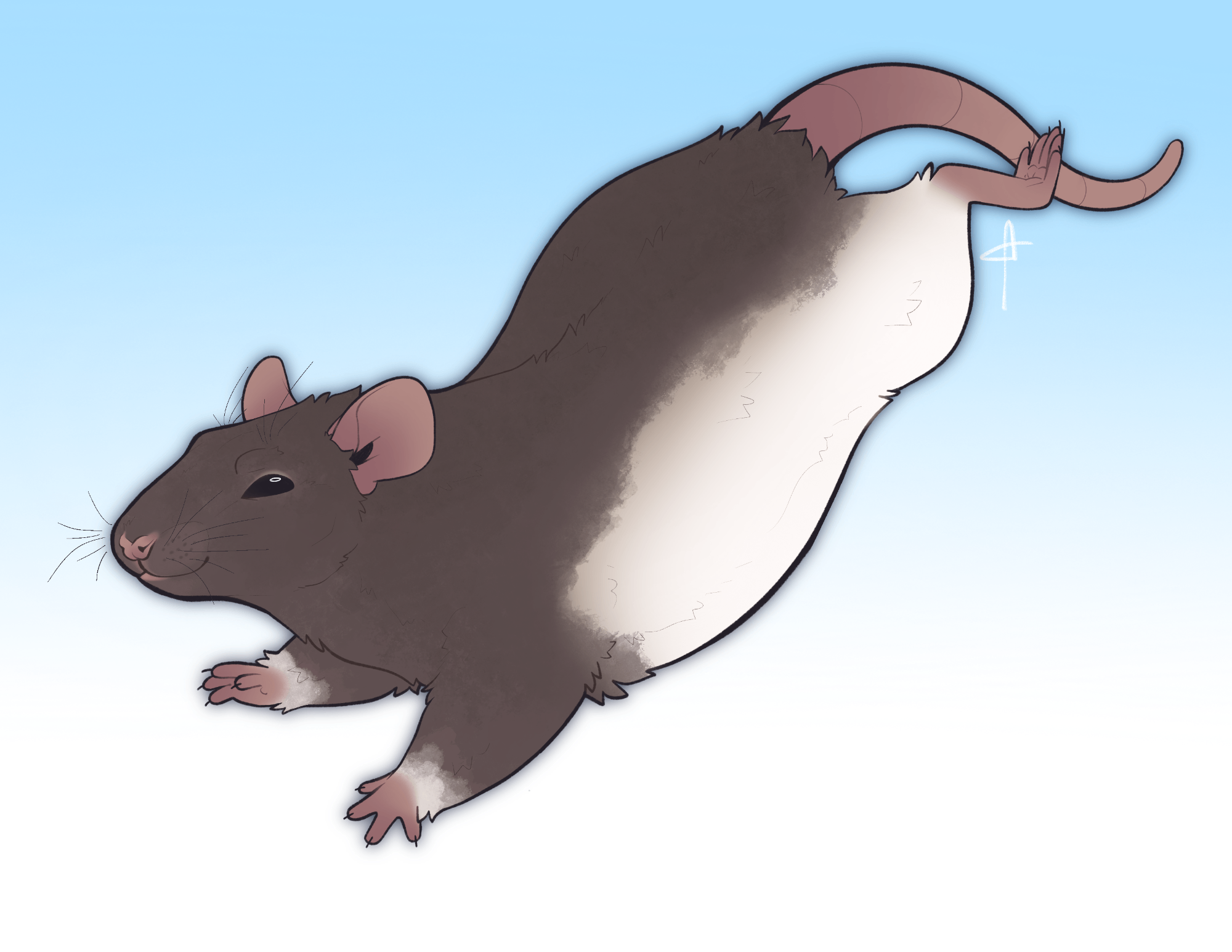 knottytracker's Commission Form | Artistree